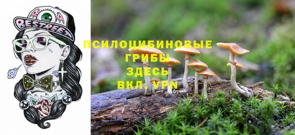наркотики Абинск