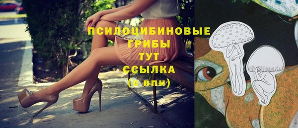 тгк Зеленокумск