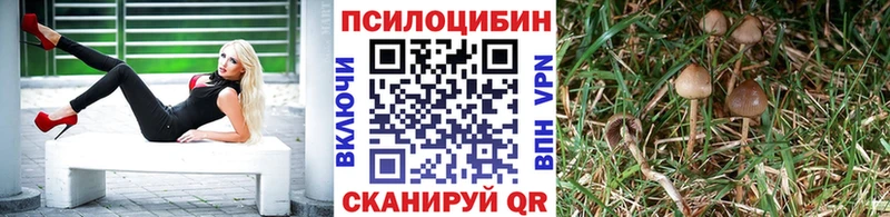 это наркотические препараты  где купить наркотик  Невельск  Псилоцибиновые грибы мухоморы 